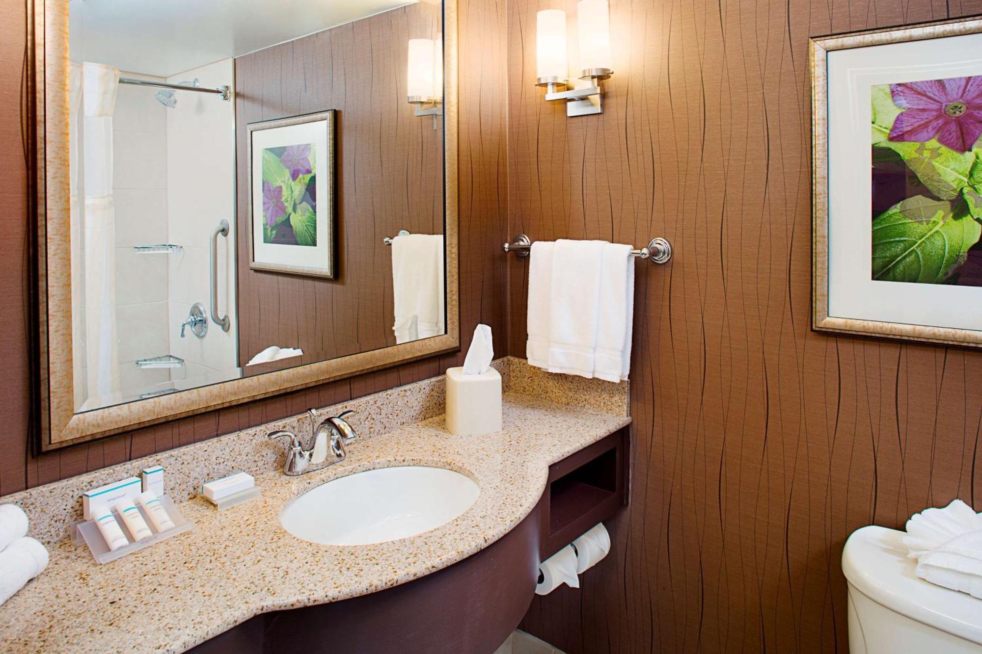 Hilton Garden Inn Hartford North-Bradley International Airport Windsor Eksteriør billede