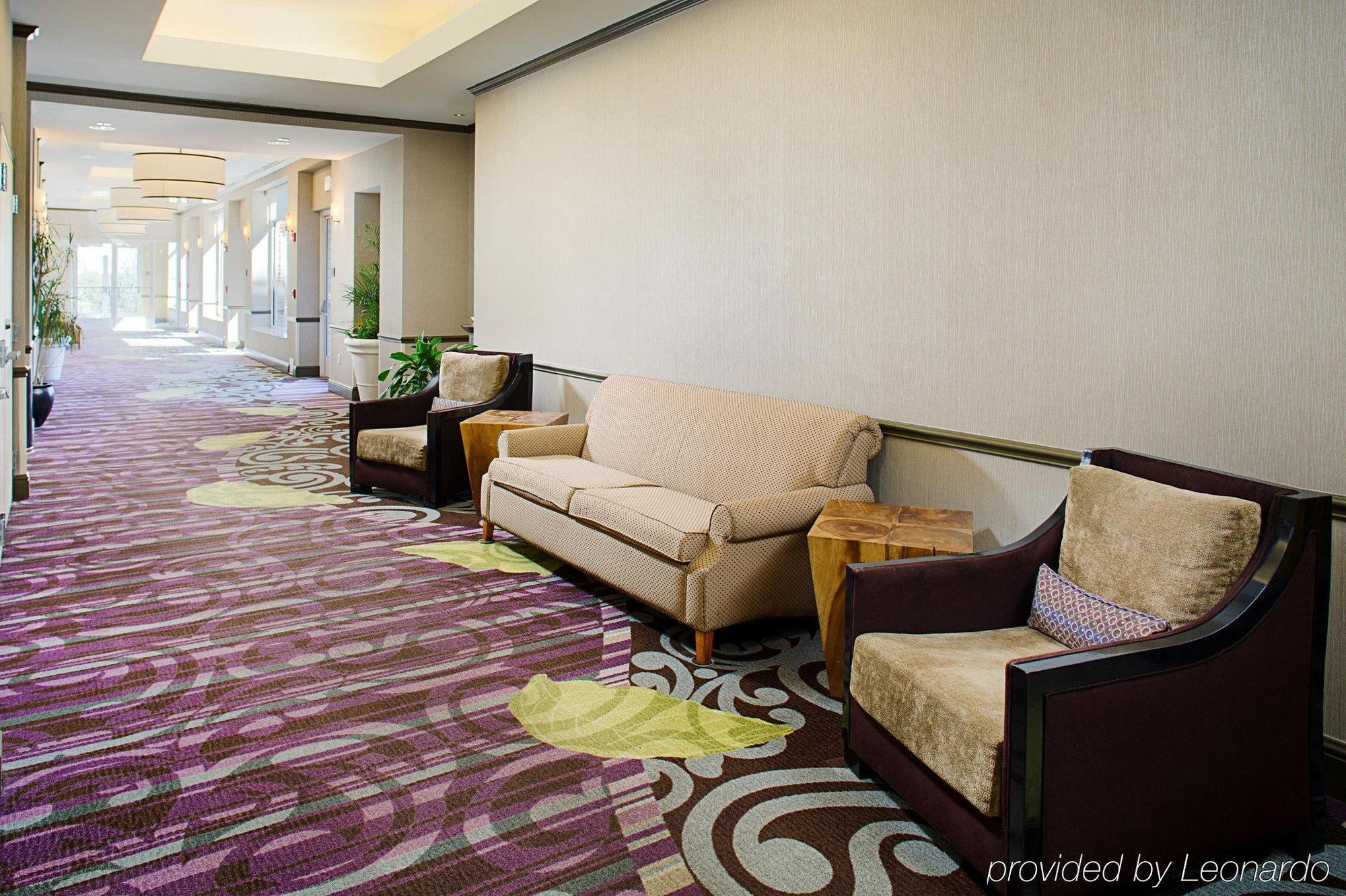 Hilton Garden Inn Hartford North-Bradley International Airport Windsor Eksteriør billede